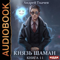Князь шаман. Книга 11
