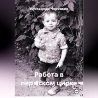 Работа в пермском цирке