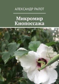 Микромир Кнопоссажа