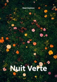 Nuit Verte