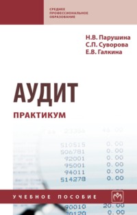 Аудит: практикум