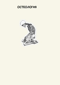 Остеология