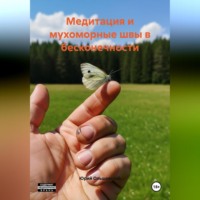 Медитация и мухоморные швы в бесконечности