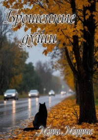 Брошенные души