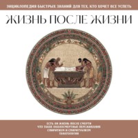 Жизнь после жизни. Для тех, кто хочет все успеть