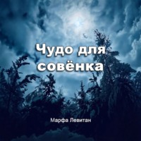 Чудо для совёнка