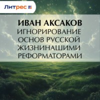 Игнорирование основ русской жизни нашими реформаторами