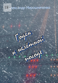 Годен к нелётной погоде