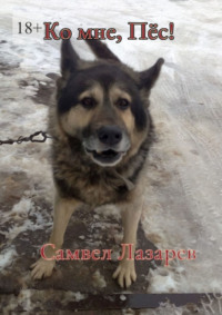 Ко мне, Пёс!