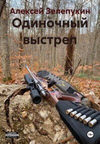 Одиночный выстрел