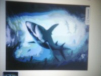 Мистер Вселенная. Круче некуда