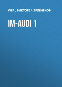 im-audi 1