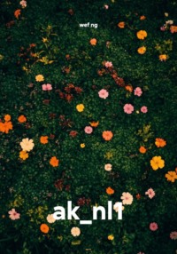 ak_nl1