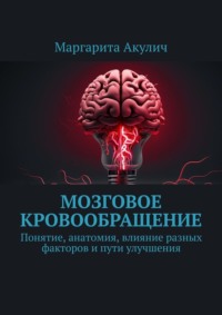 Мозговое кровообращение:. Понятие, анатомия, влияние разных факторов и пути улучшения