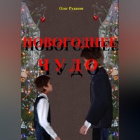 НОВОГОДНЕЕ ЧУДО