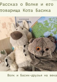 Книга о Волке и его товарище коте Басике