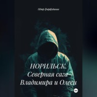 НОРИЛЬСК. Северная сага Владимира и Олеси