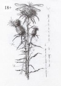 Мальчик и фея