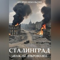 Сталинград. Дважды доброволец.