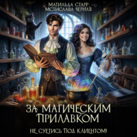 За магическим прилавком. Не суетись под клиентом