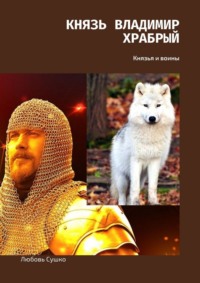 Князь Владимир Храбрый. Князья и воины