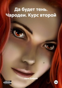 Да будет тень. Чародеи. Курс второй