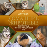 Домашние животные