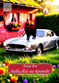 Баба-Яга на проводе