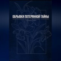 Обрывки потерянной тайны