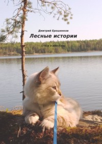 Лесные истории