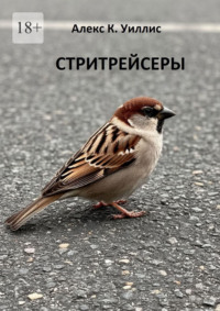 Стритрейсеры