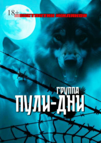 Группа «Пули-Дни». Избранные песни