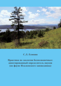 Практика по зоологии беспозвоночных. Аннотированный определитель пауков (по фауне Ильменского заповедника)