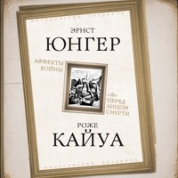 Аффекты войны. «Я» перед лицом смерти