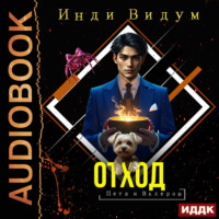 Петя и Валерон. Книга 4. Отход