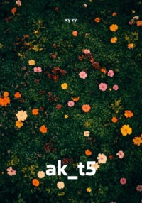 ak_t5