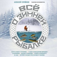 Все о зимней рыбалке