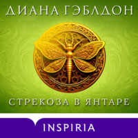 Стрекоза в янтаре