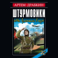 Штурмовики. «Мы взлетали в ад»