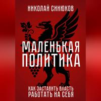 Маленькая Политика. Как заставить власть работать на себя