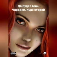 Да будет тень. Чародеи. Курс второй