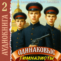 Одинаковые. Том 2. Гимназисты