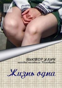 Жизнь одна. Находка писателя Ромовцева