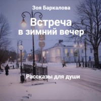 Встреча в зимний вечер