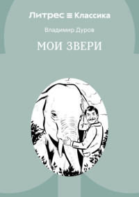 Мои звери