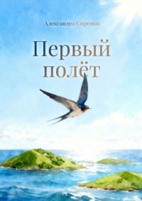 Первый полёт