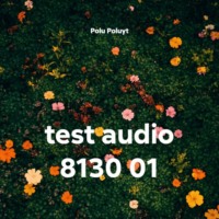 test audio 8130 01