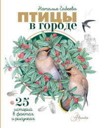 Птицы в городе. 25 историй в фактах и рисунках
