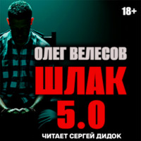 ШЛАК. Книга пятая