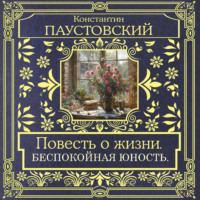 Повесть о жизни. Беспокойная юность